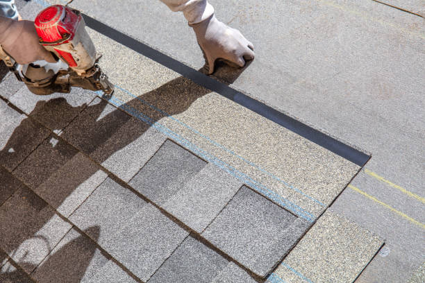 Best Roof Leak Repair  in Bloomville, OH