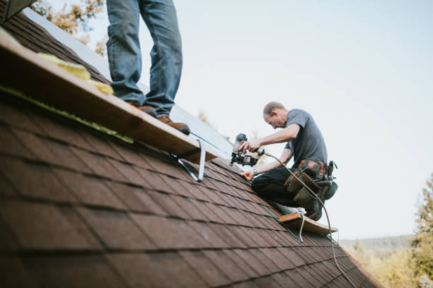 Quick and Trustworthy Emergency Roof Repair Services in Bloomville, OH